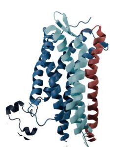 Zielmolekül CXCR4. Weitere Infos hier: https://www.pentixapharm.com/pipeline