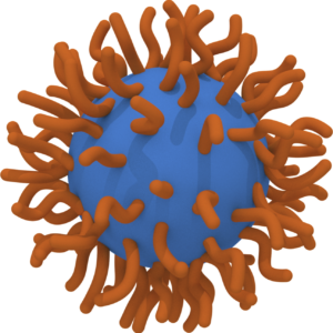 TOPAS nanoparticles carry disease-related peptide epitopes and are engineered for targeted delivery into the liver sinusoidal endothelial cells (LSECs). A key advantage is that Topas nanoparticles offer a versatile mechanism to conjugate and combine immunogenic peptides of choice. Copyright: TOPAS Therapeutics GmbH