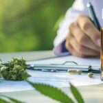 medical cannabis in an open bottle and capsule on a table, with marijuana leaves and buds nearby, Doctor writing on prescription. Copyright: Brian - stock.adobe.com